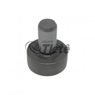 ROLO EXCENTRICO | ZF | 0501214560